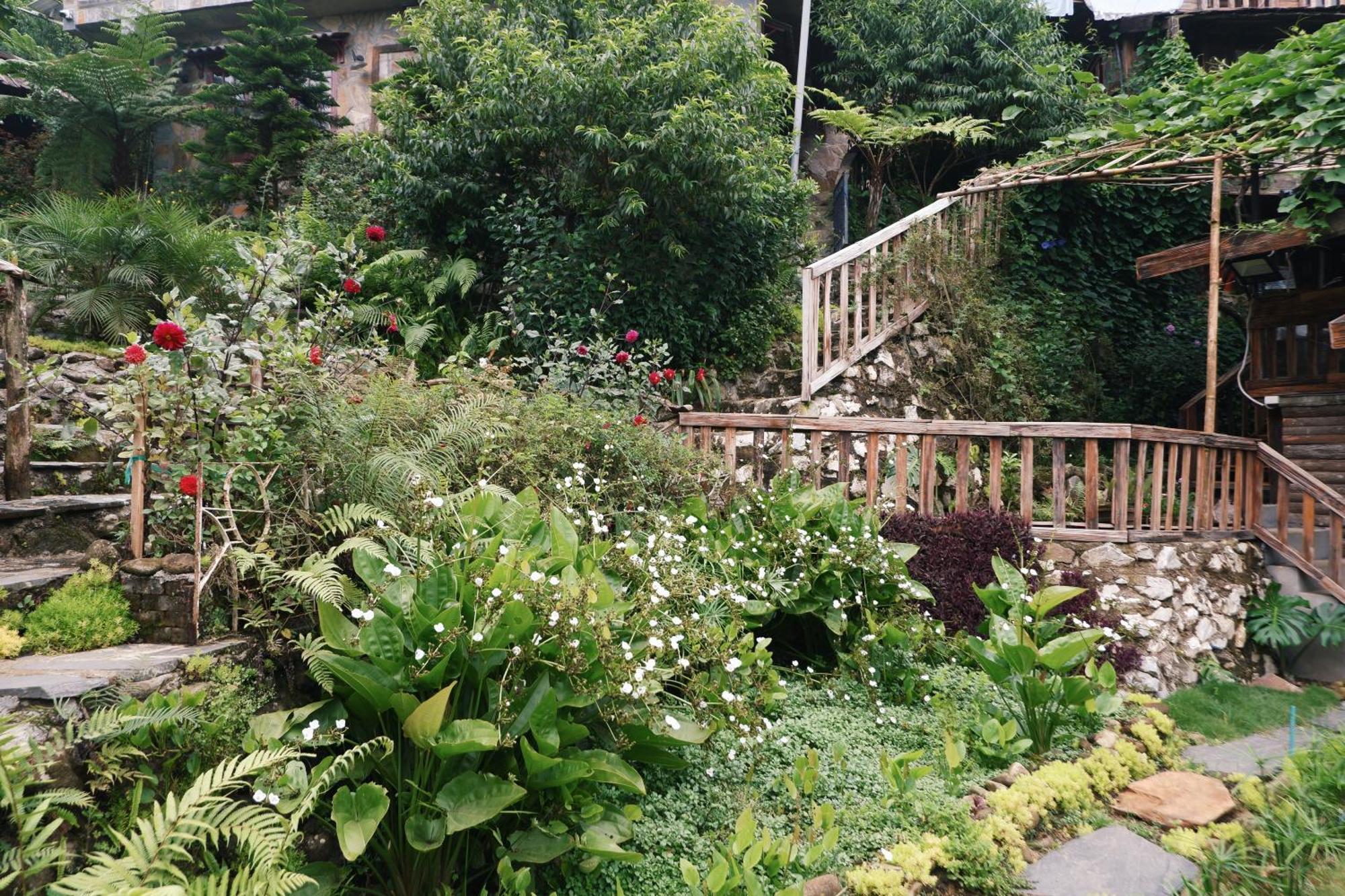 Ta Phin Cottage Sapa Exteriér fotografie