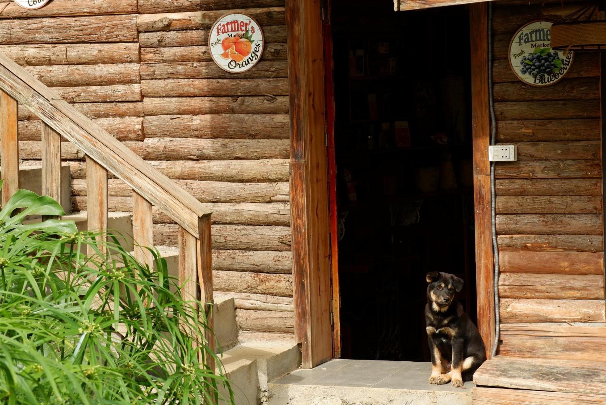 Ta Phin Cottage Sapa Exteriér fotografie