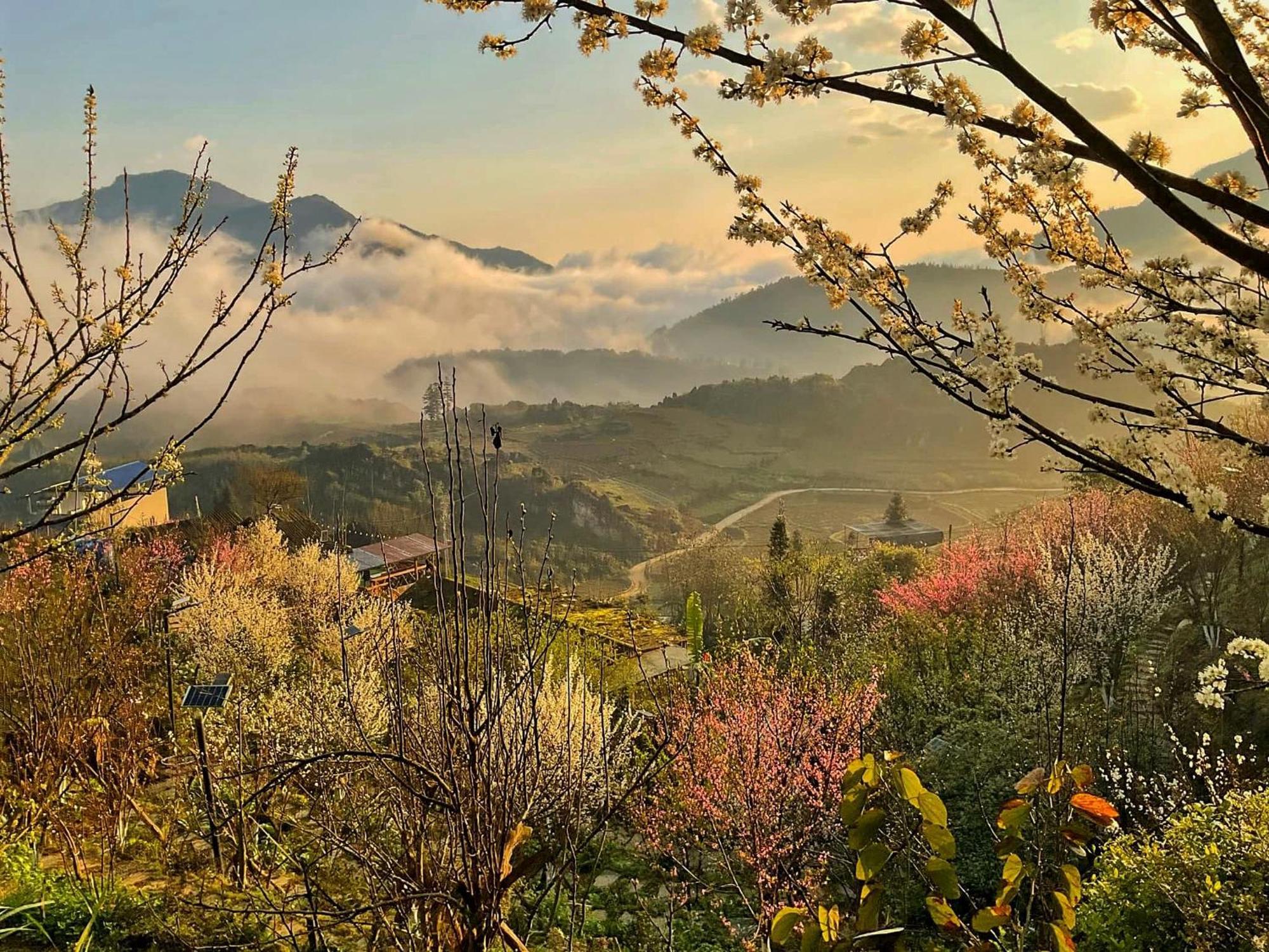 Ta Phin Cottage Sapa Exteriér fotografie